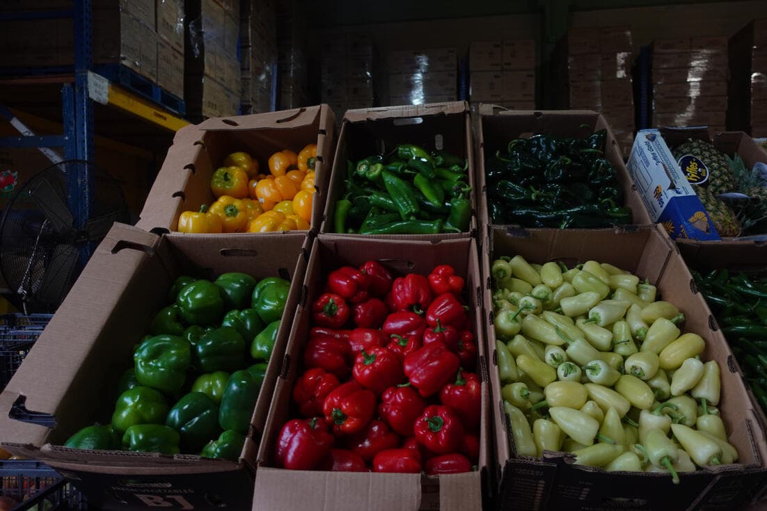 Fresh bell peppers in wholesale boxes